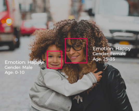 Facial Analysis, Biometrics, Crowd Analytics